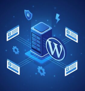 تفاوت هاست وردپرس و ووکامرس در چیست؟ بررسی جامع و دقیق