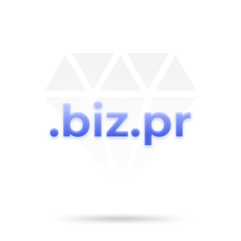 خرید دامنه  .biz.pr