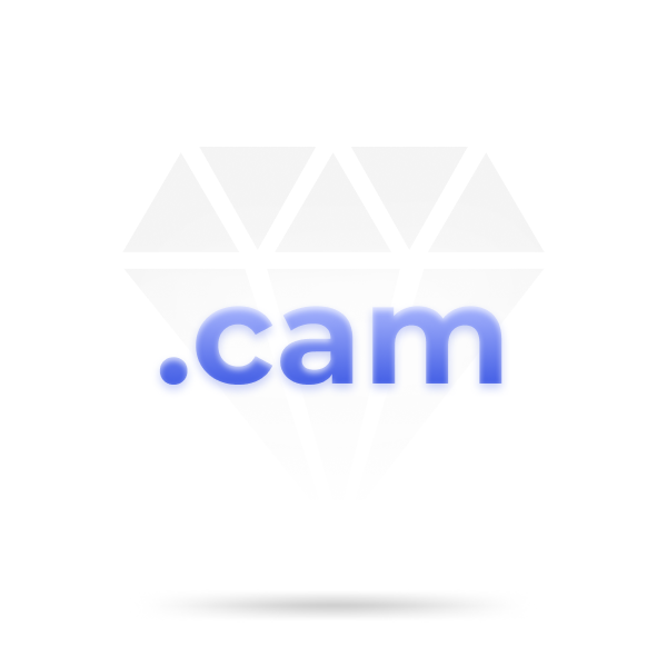 خرید دامنه .cam