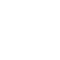 پشتیبانی حرفه ای