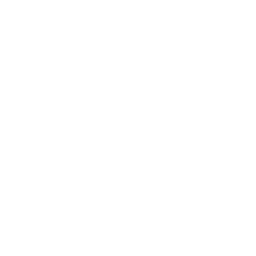 امنیت و حفاظت از مالکیت دامنه